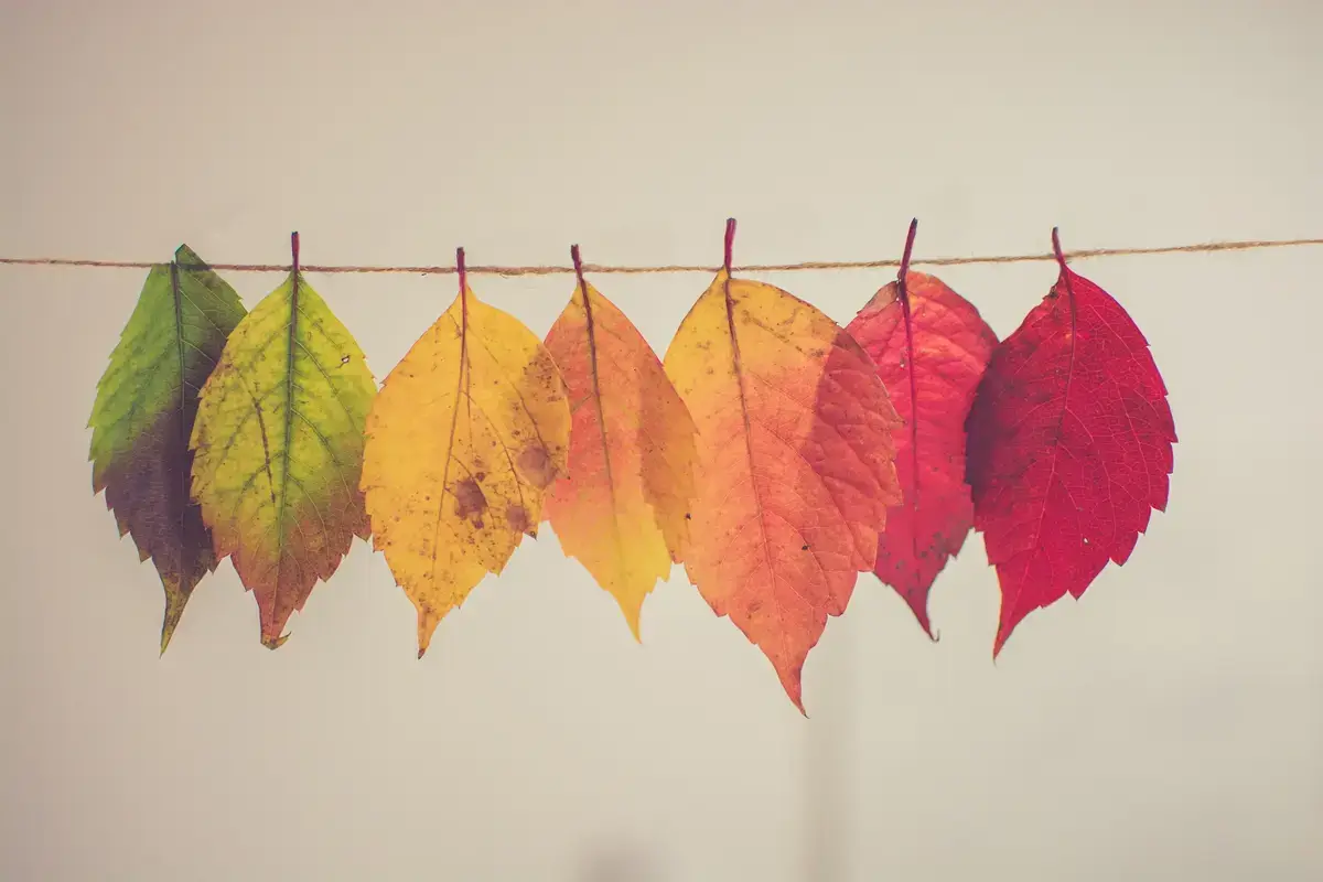 10 ideja za uživanje u jesenjem šarenilu